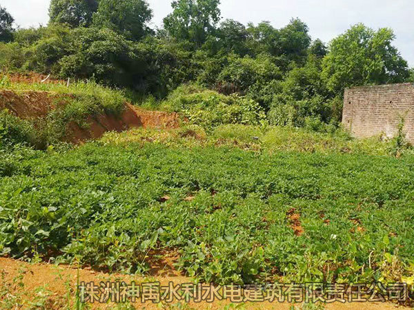 土地整理項(xiàng)目